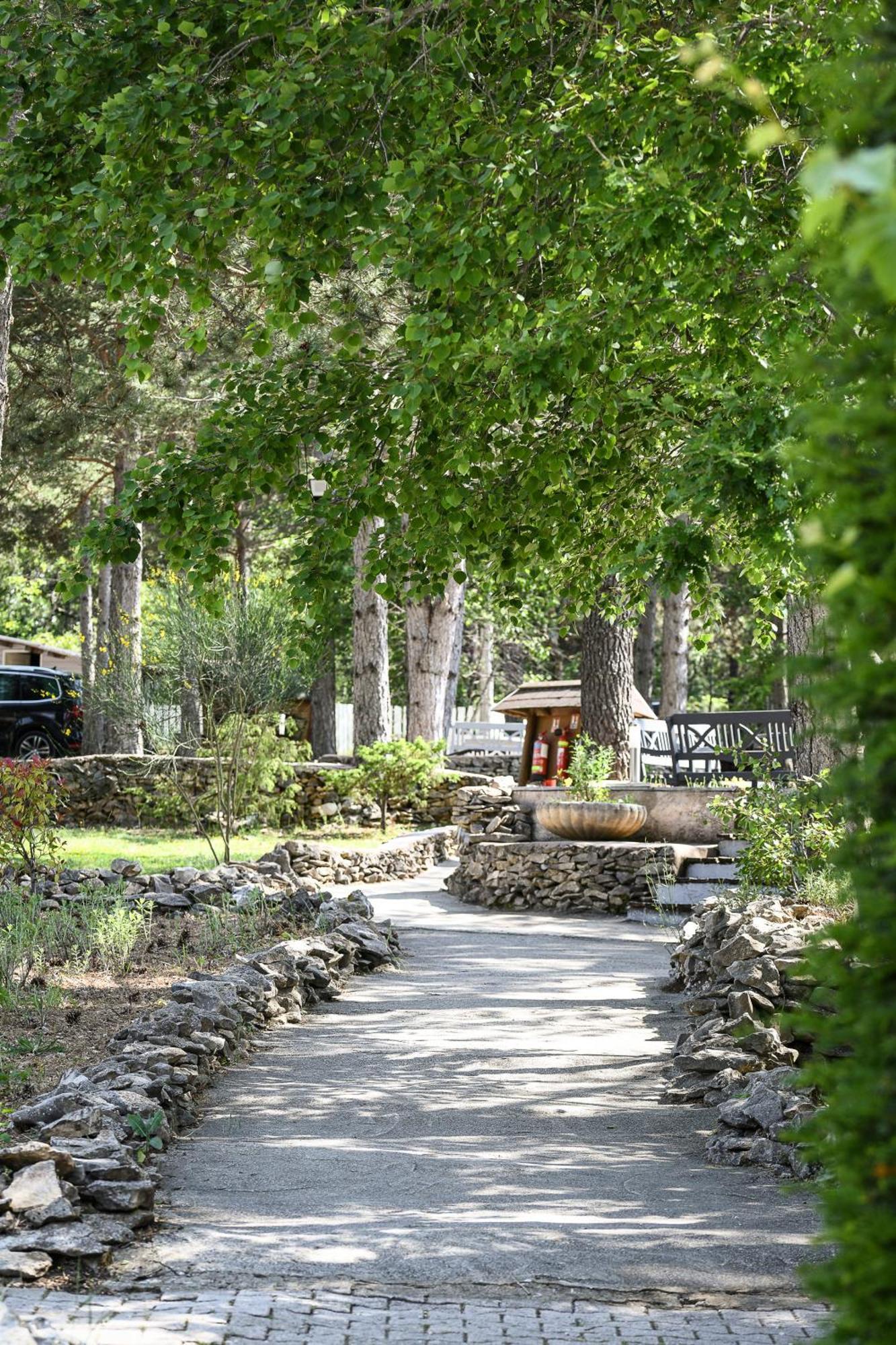 Domaine Du Val De Sault Hotel Eksteriør billede